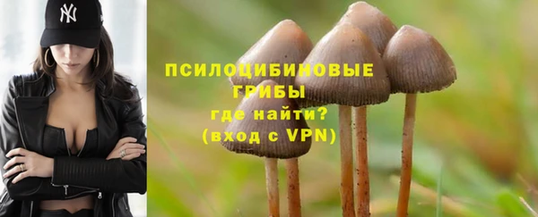 прущая мука Надым