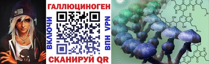 ссылка на мегу как войти  Павловск  Псилоцибиновые грибы мицелий 